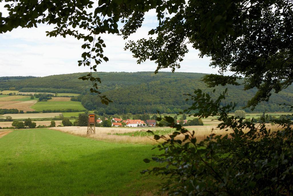 Hotel Gasthaus Zum Lindenwirt Oberweser Exterior foto